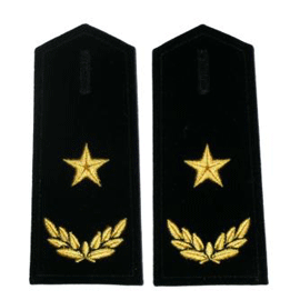  Navy Stars