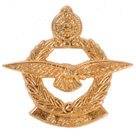  Air Force Badges